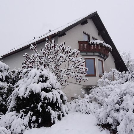 Ferienwohnung Ferienwohnnung Ruth - Familienurlaub Im Erzgebirge Langenbach  Exterior foto