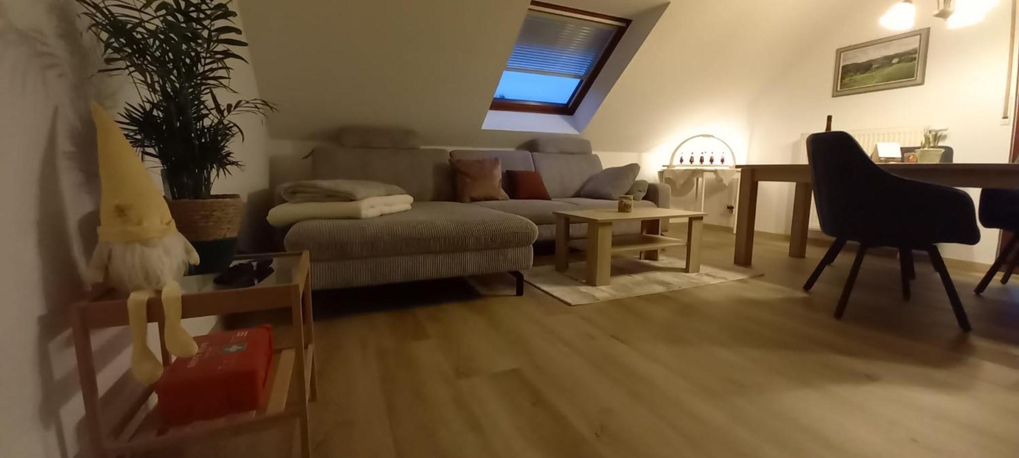 Ferienwohnung Ferienwohnnung Ruth - Familienurlaub Im Erzgebirge Langenbach  Exterior foto